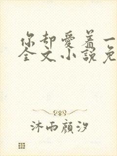 你却爱着一个他全文小说免费阅读未删减