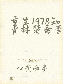 重生1978知青林楚乔李向南封面