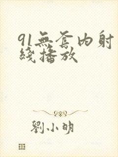 91无套内射在线播放