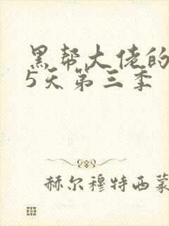 黑帮大佬的365天第三季封面