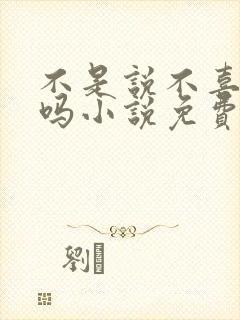 不是说不喜欢我吗小说免费阅读