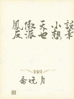 凤傲天小说里的反派也想幸福沐恩