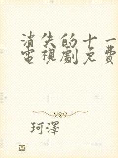 消失的十一层 电视剧免费