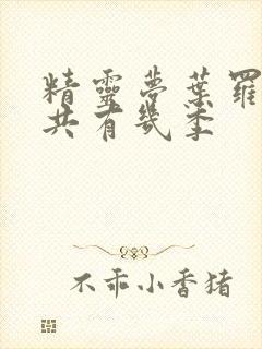 精灵梦叶罗丽一共有几季