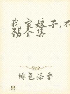 我家娘子,不对劲全集封面