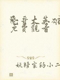 飞哥大英雄高清免费观看封面