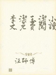 李洁王洁小说全文免费阅读