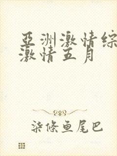 亚洲激情综合网激情五月