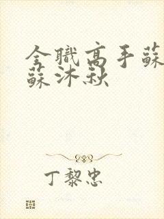 全职高手苏沐橙苏沐秋