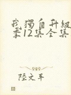 我独自升级第二季12集全集无删减版封面