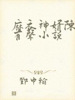 麻衣神婿陈黄皮有声小说