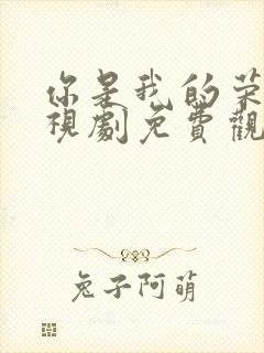 你是我的荣耀电视剧免费观看完整版高清封面