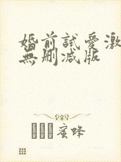 婚前试爱激情戏无删减版封面