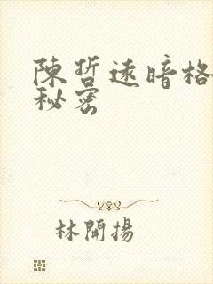 陈哲远暗格里的秘密封面