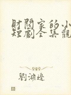 财阀家的小儿子短剧全集观看