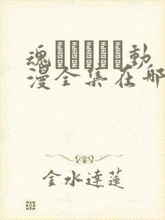 魂インサート动漫全集在哪里看