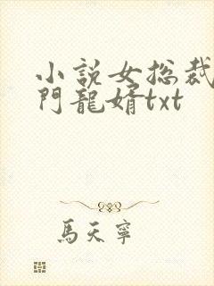 小说女总裁的上门龙婿txt
