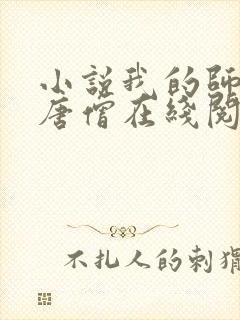 小说我的师傅是唐僧在线阅读