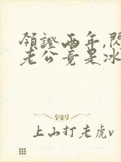 领证两年,闪婚老公竟是冰山上司