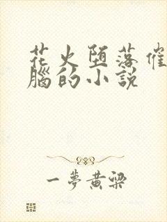 花火堕落催眠洗脑的小说封面