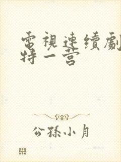 电视连续剧我的特一营