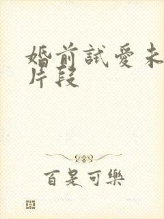 婚前试爱未删减片段