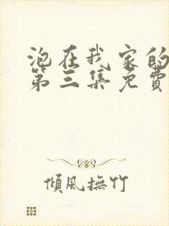 泡在我家的辣妹第三集免费在线观看