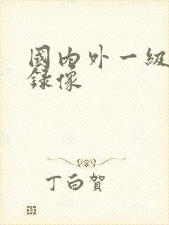 国内外一级黄色录像