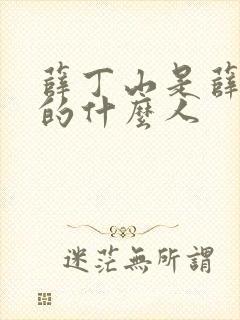 薛丁山是薛仁贵的什么人