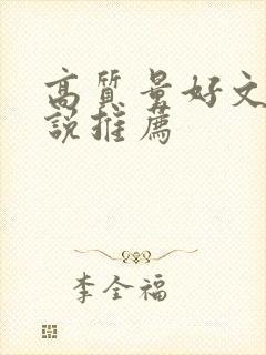 高质量好文笔小说推荐