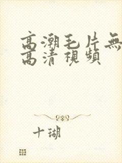 高潮毛片无遮挡高清视频封面