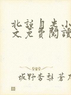 北说月光小说全文免费阅读封面