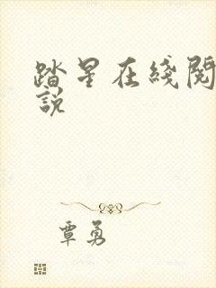 踏星在线阅读小说封面