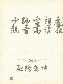 少帅电视剧免费观看高清在线播放