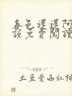 春色迟迟阿洵小说免费阅读