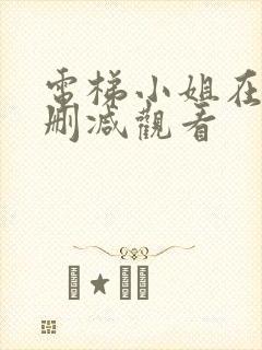 电梯小姐在线无删减观看封面