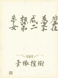 梦想成为魔法少女第二季在线观看封面