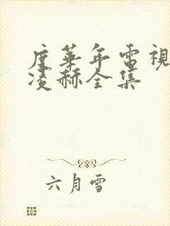 度华年电视剧张凌赫全集封面