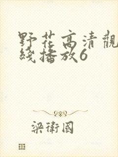 野花高清观看在线播放6封面