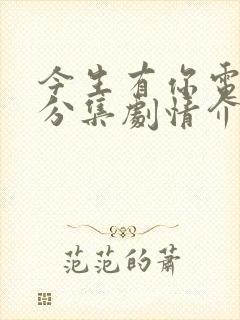 今生有你电视剧分集剧情介绍13集封面