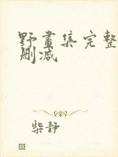 野画集完整版未删减