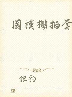 国模棚拍套图封面