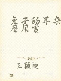 兔子的耳朵有什么用处