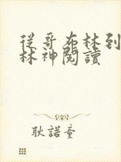 从哥布林到哥布林神阅读封面