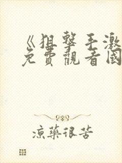 《狙击手激战》免费观看国语高清