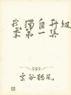 我独自升级第一季第一集