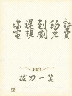 你迟到的许多年电视剧免费