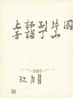 上译制片国语配音诺丁山封面