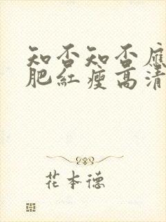 知否知否应是绿肥红瘦高清资源封面