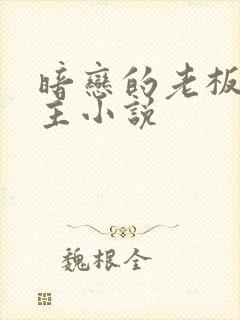 暗恋的老板是个主小说